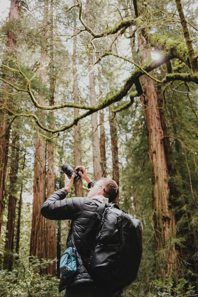 A man with a backpack photographs tall trees in a lush forest, showcasing nature's beauty.