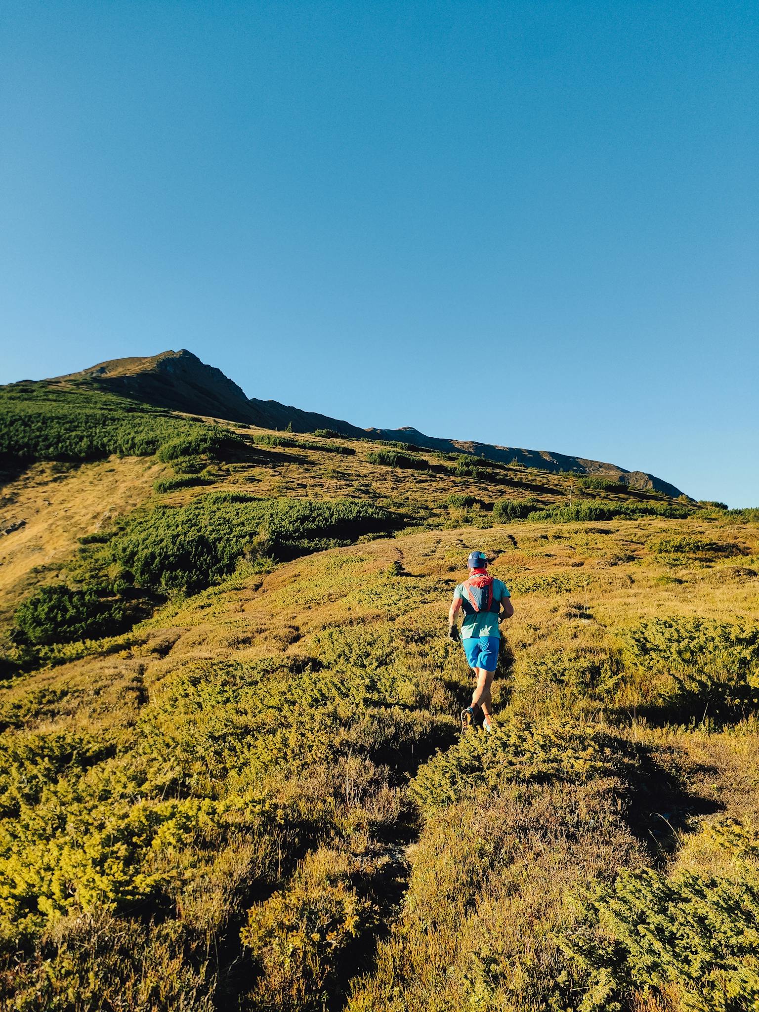 A runner enjoys a sunny day on a scenic mountain trail, showcasing outdoor adventure and nature.
